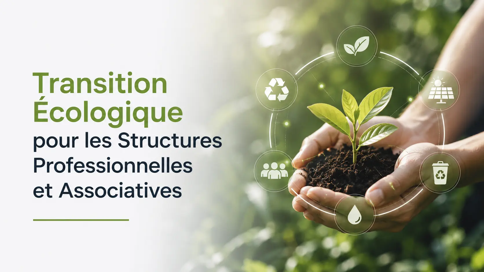 Transition écologique pour les structures professionnelles et associatives